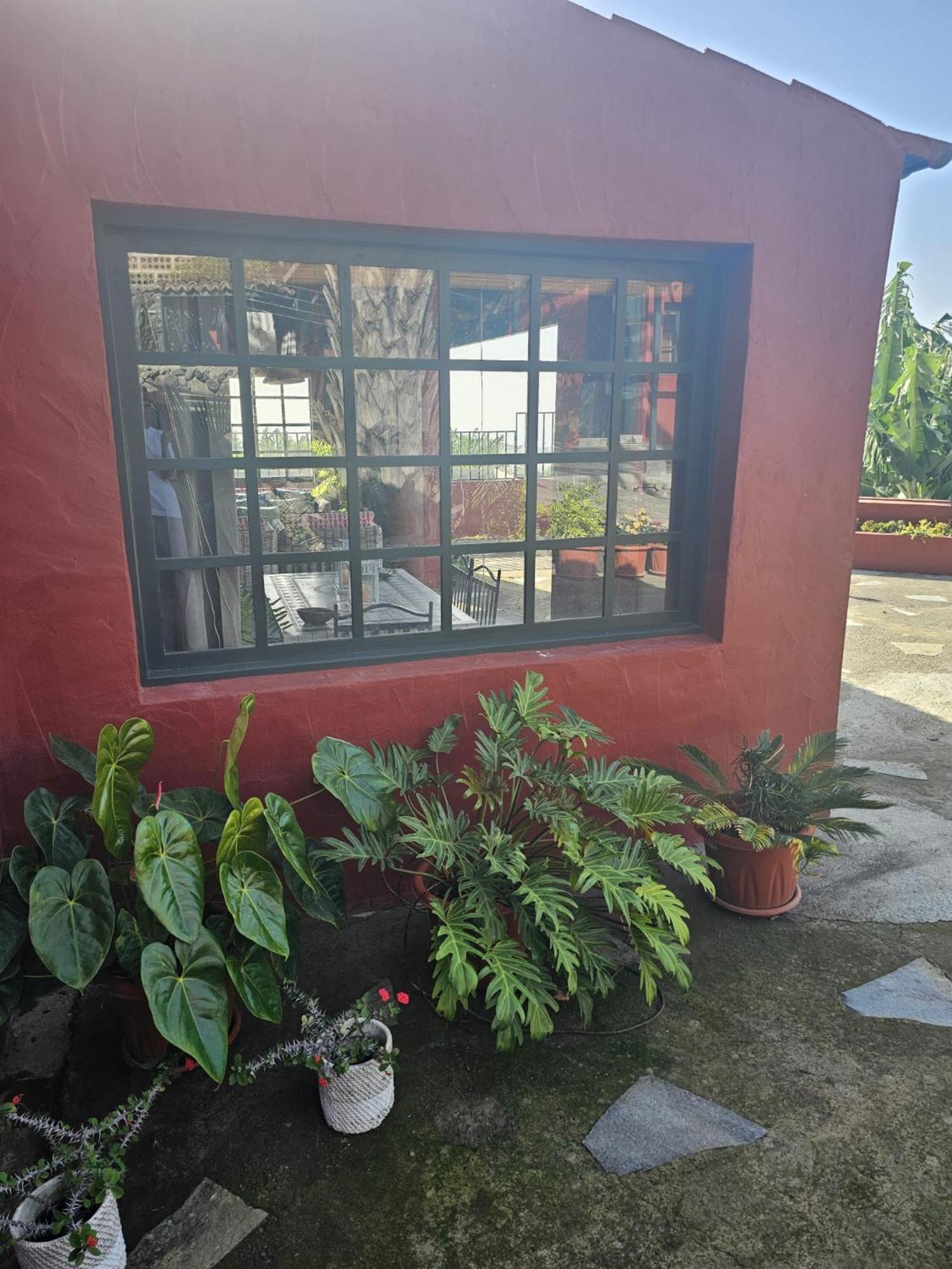 Casa Rural El Pinito Con Piscina Privada El Paso Zewnętrze zdjęcie